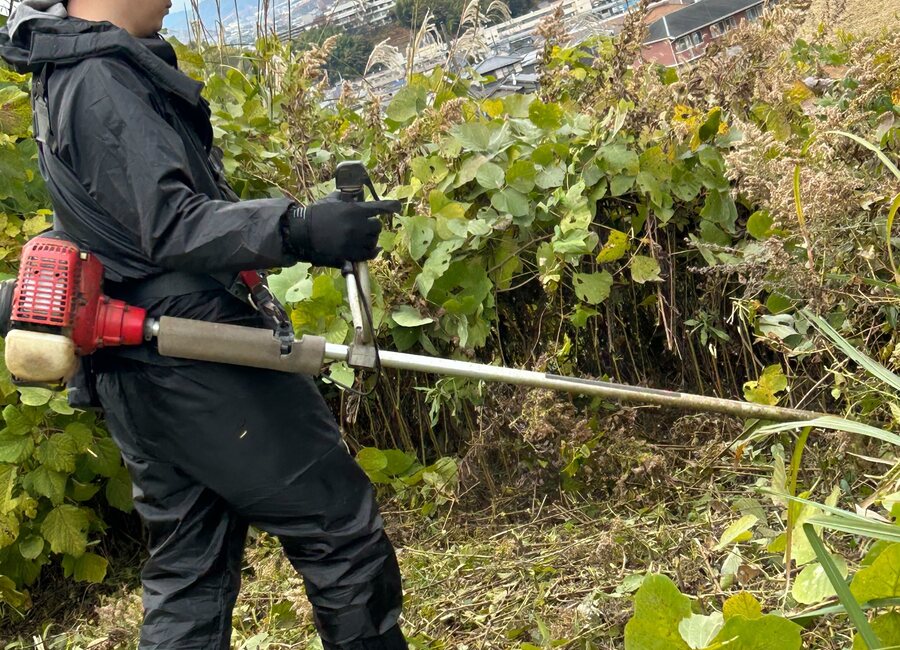 草刈り・庭の手入れのイメージ