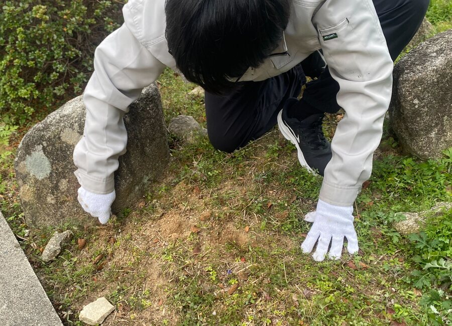 その他いろいろのイメージ